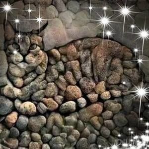 Meet your Posher, Nydia